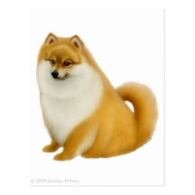 Pomeranian valpvykort