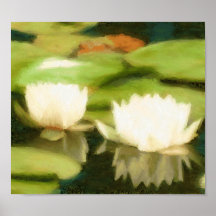 Pondlily tryck affischer