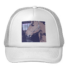 Popkonsthäst Trucker Keps