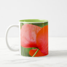 Poppycock Kaffe Kopp