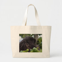 Porcupine Kasse