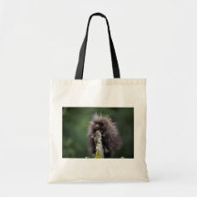Porcupine-sommar-unge Kasse