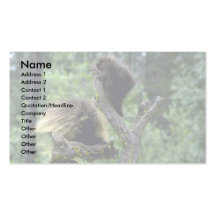 Porcupines-sommar-mamma med ungar visit kort