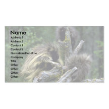 Porcupines-sommar-mamma med ungar visit kort