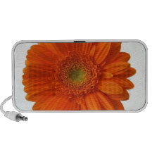 Portablehögtalare för orange daisy