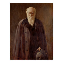 Porträtt av Charles Darwin 1883 Vykort
