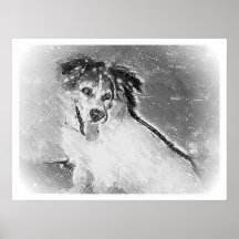 Porträtt av en hundtigeraffisch