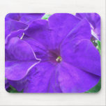Positiva blommor musmattor