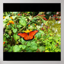 Poster-Animals-2 Affisch