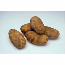 Potatisar Photo Cut Out