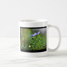 Precis en blomma - blåttblomma 002 kaffe koppar