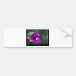 Precis en blomma - lilor blommar Bouganvillea 010 Bildekaler