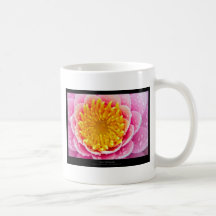 Precis en blomma - näckros 001 kaffe mugg