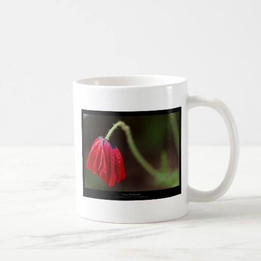 Precis en blomma - röd blommavallmo 012 kaffe koppar