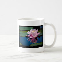 Precis en blomma - rosa näckrosblomma 009 mugg
