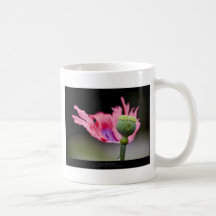 Precis en blomma - rosa vallmoblomma 015 kaffe mugg