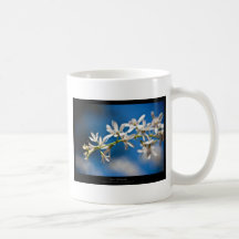 Precis en blomma - vitblomma 004 kaffe muggar