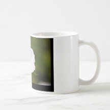 Precis en blomma - vitblomma 019 kaffe koppar