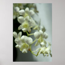 Pretty White Blur Posters
