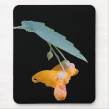 Prickigt handlag mig inte mus matta