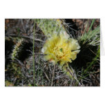 Prickly härligt hälsnings kort