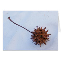 Prickly kärna ur ~-kortet