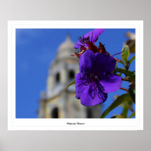Princess Blomma Posters