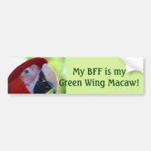 Princess Göra grön Påskynda Macaw Bildekal