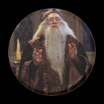 Professor Dumbledore magneter