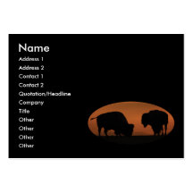 profilera eller visitkorten, bison