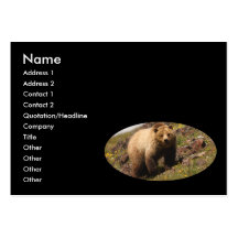 profilera eller visitkorten, grizzlybjörn