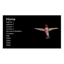 profilera eller visitkorten, hummingbird