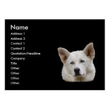 profilera eller visitkorten, hund
