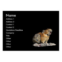 profilera eller visitkorten, pika