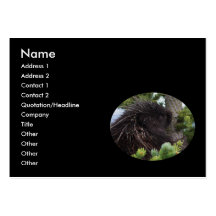 profilera eller visitkorten, porcupine