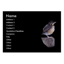 profilera eller visitkorten, robin