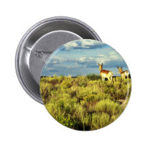Pronghorn antilop pins