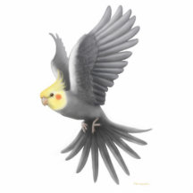 Prydnad för flygCockatielhelgdag Photo Cutout