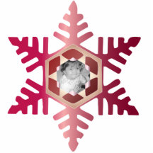 Prydnad för jul för Snowflakefotopersonlig Photo Sculptures