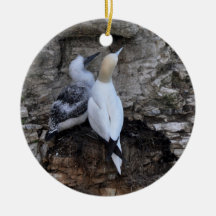Prydnad: Gannet och chick Julgranskulor