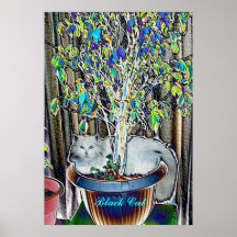 Psychadelic affisch för svart katt