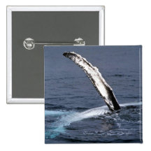 Puckelryggval Pins