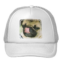 Pugalicious baseballhatt trucker keps