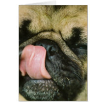Pugalicious hälsningkort