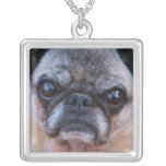 pugdogsterlinghalsband