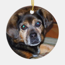 Puggle hundprydnad julgransdekoration