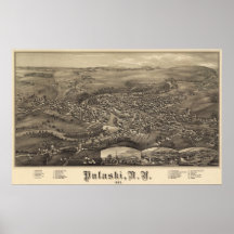 Pulaski den New York fågel öga beskådar affisch 18
