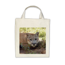 Puma 006 kasse