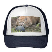 Puma 015 trucker kepsar