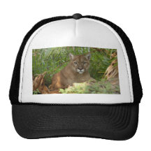 Puma 016 baseball hat